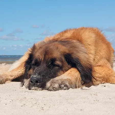 Aufschwung I Haushaelfte