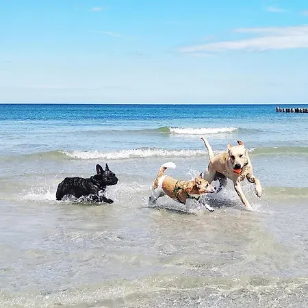 Aufschwung I Haushaelfte